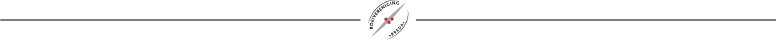 divider_breda_logo