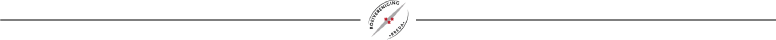 divider_breda_logo